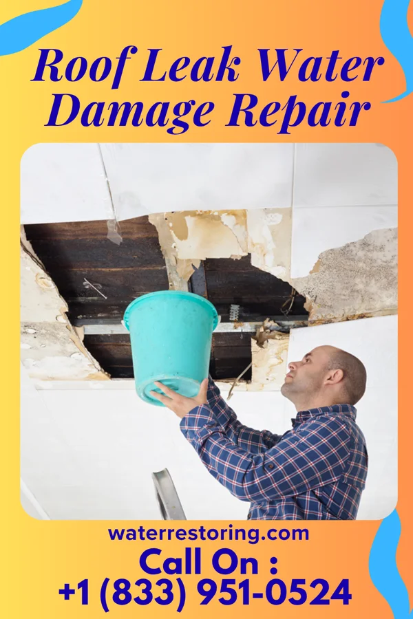 Roof Leak Water Damage Repair in Cawker City, KS