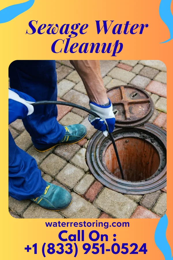 Sewage Water Cleanup in Cawker City, KS